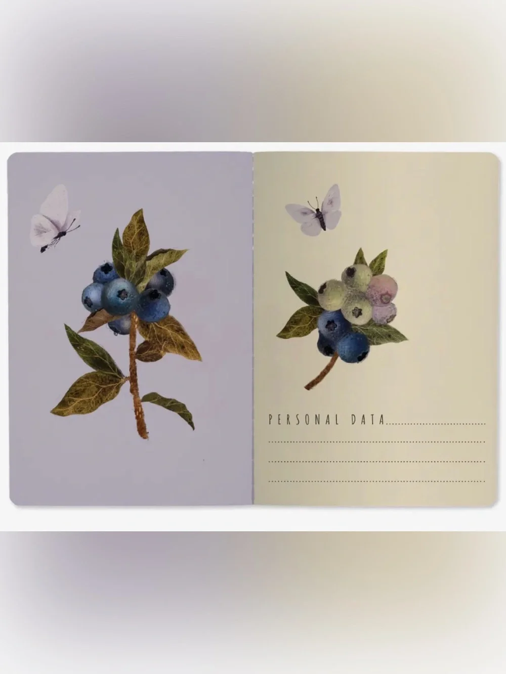 Bruno Visconti Soft Touch Wild Blueberries Notebook Journal A5 NEW